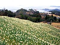 遠見山すいせん公園